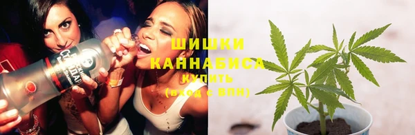 PSILOCYBIN Болотное