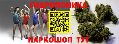 соль ск Кингисепп