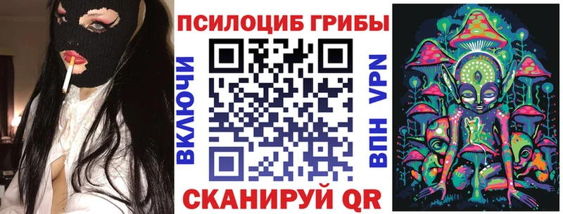 наркота  Георгиевск  Галлюциногенные грибы Psilocybine cubensis 