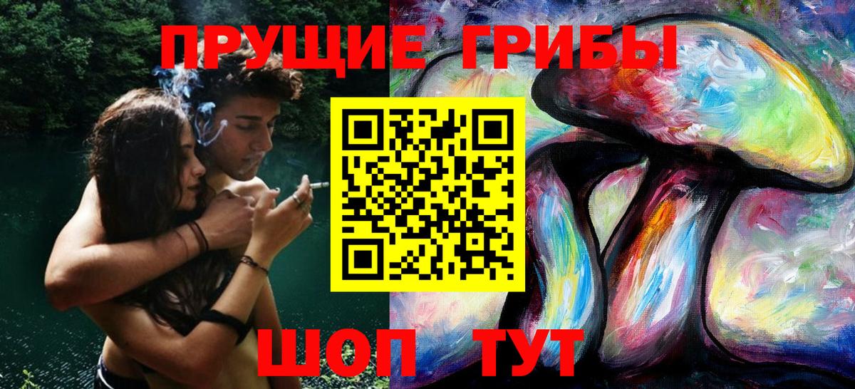 Псилоцибиновые грибы GOLDEN TEACHER  Псилоцибиновые грибы мухоморы  Вход с VPN  Георгиевск 